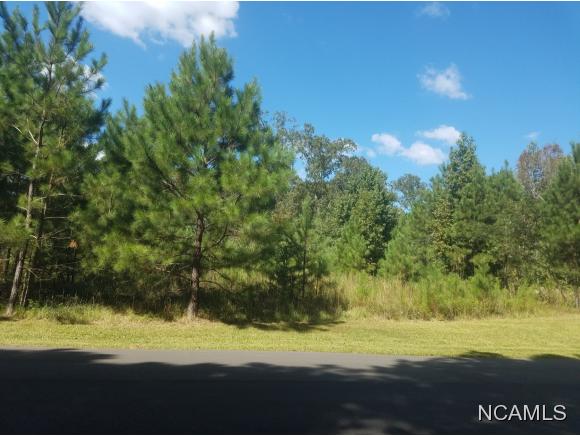 Lot 5 Blue Water Pointe Dr