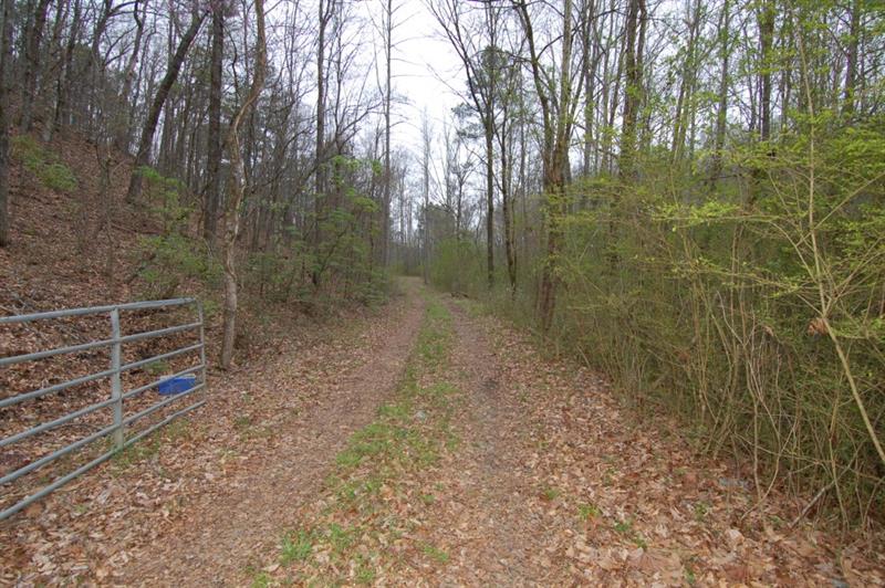 Bluffs Parkway