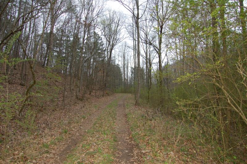 Bluffs Parkway
