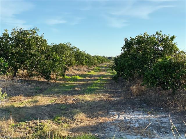5500 1st Rd