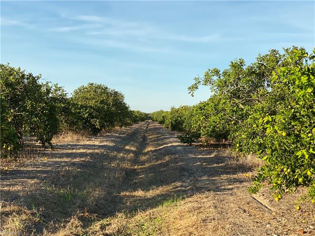 5500 1st Rd