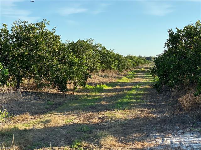 5500 1st Rd