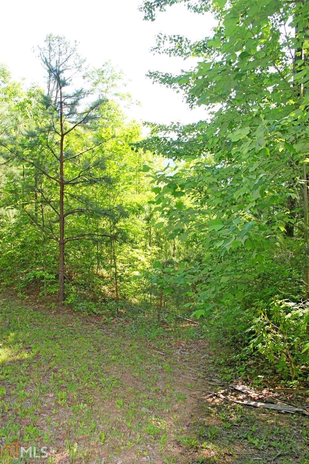 Raven Fork Trl