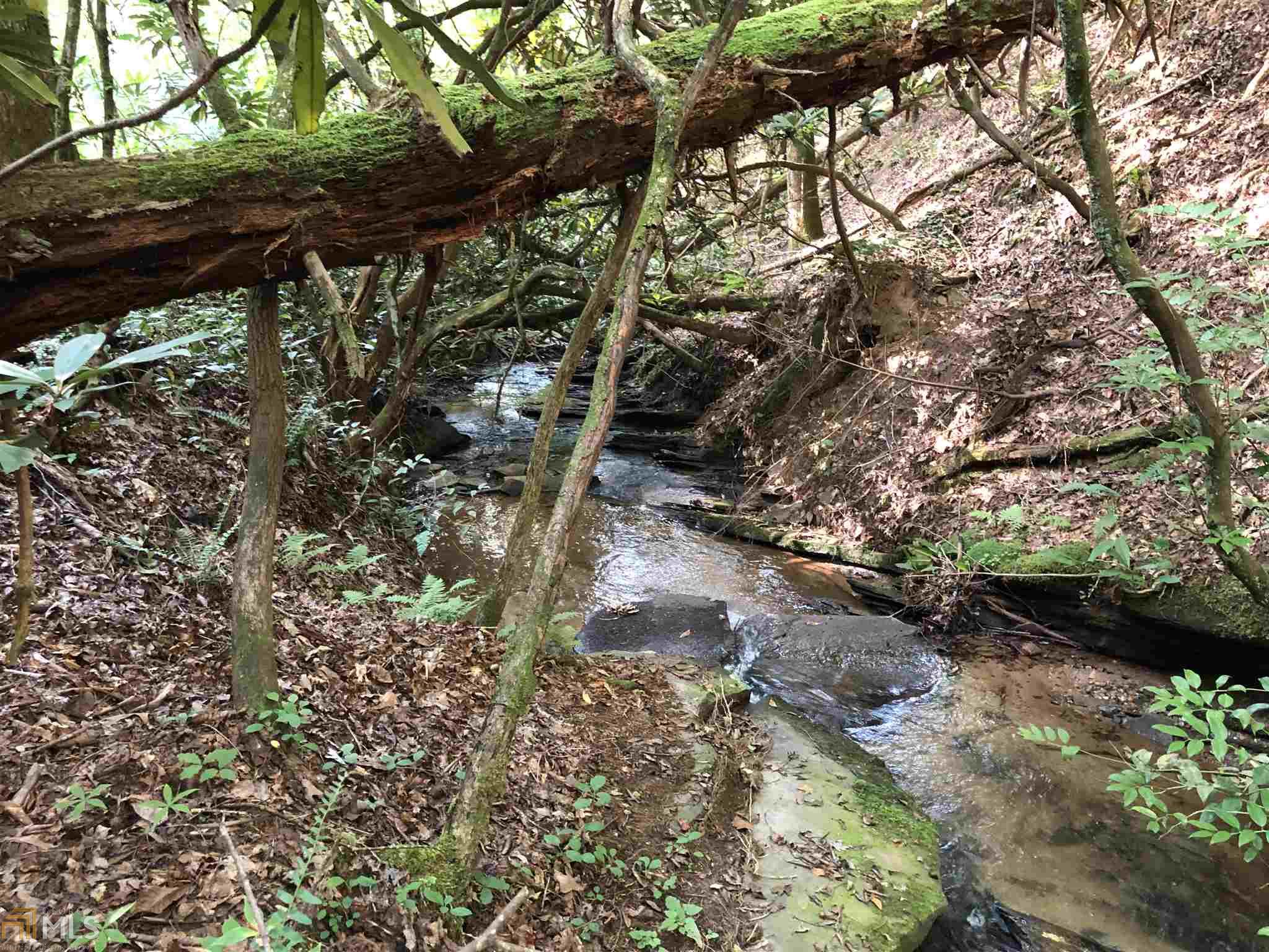 Shoal Creek Rd