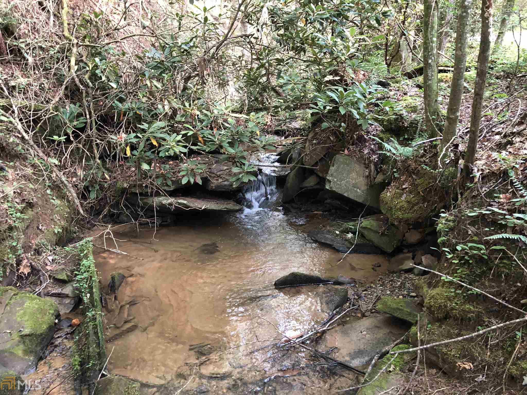 Shoal Creek Rd