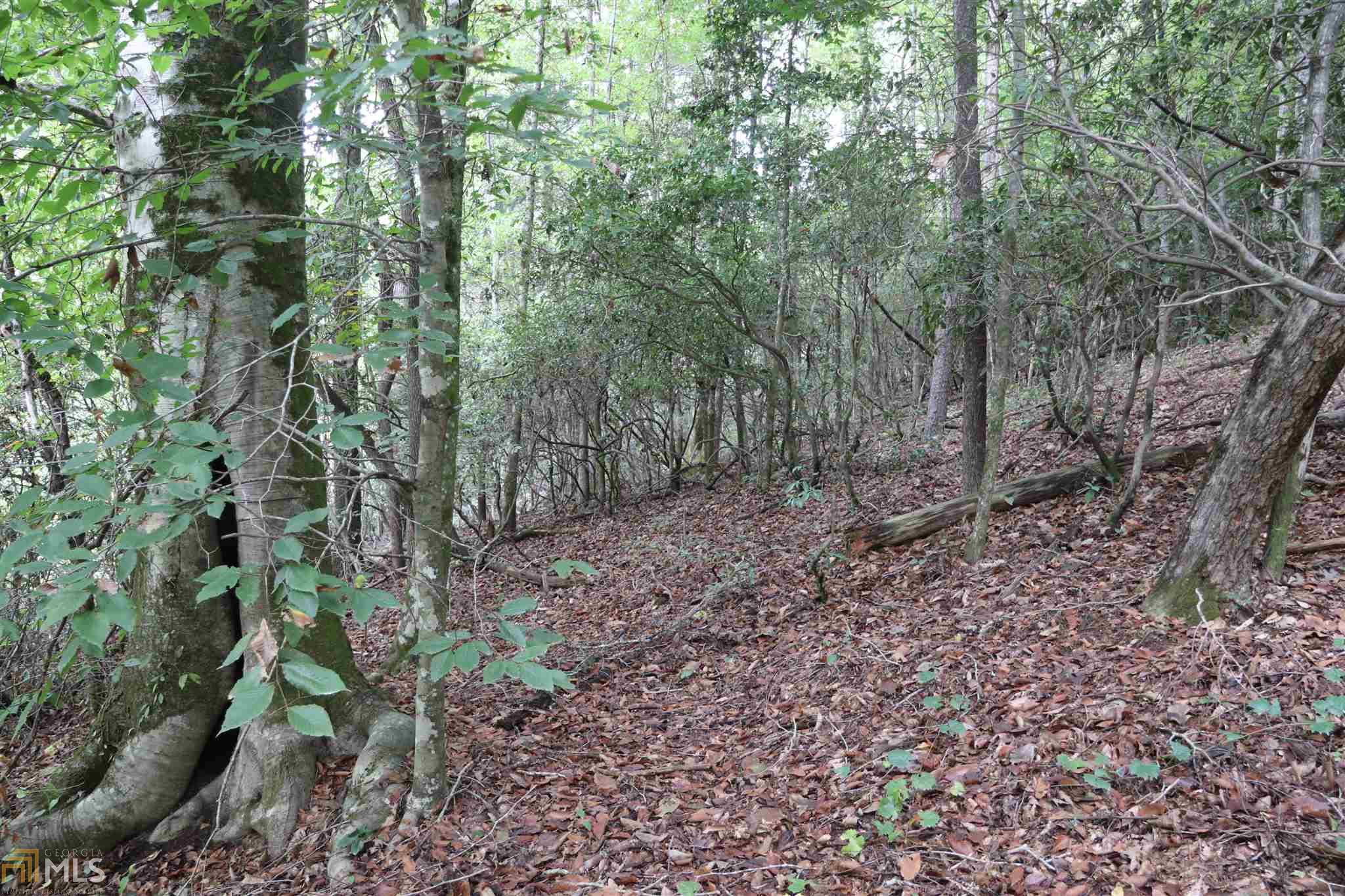 Bean Creek Rd