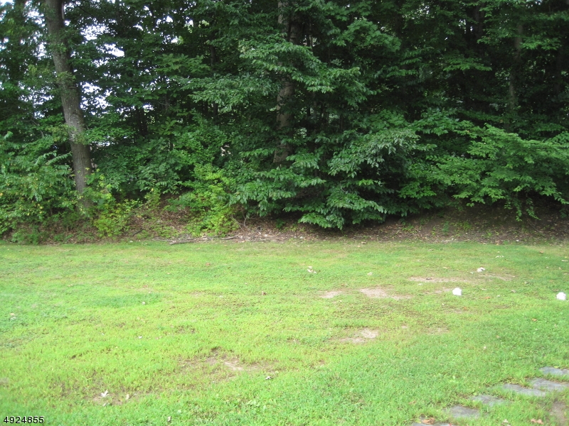 81 Bell Rd