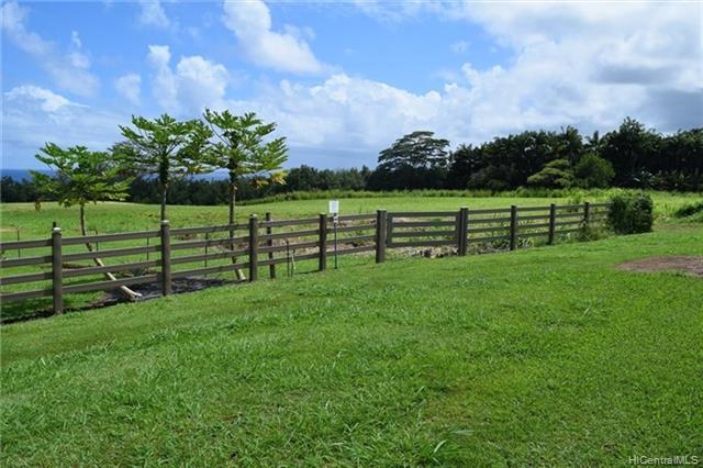 Lot 79 Loa Road