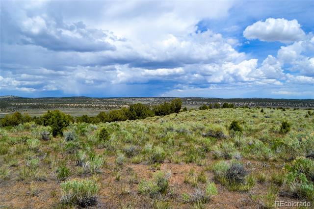 Tract 2 State Hwy 318