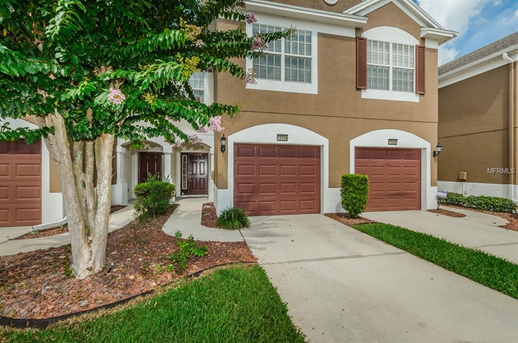 Carrollwood Preserve Homes For Sale