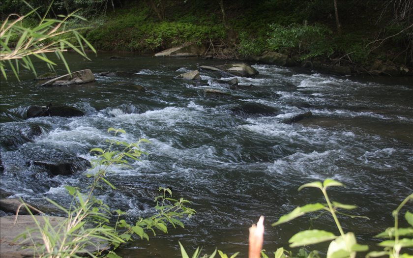 River Ridge