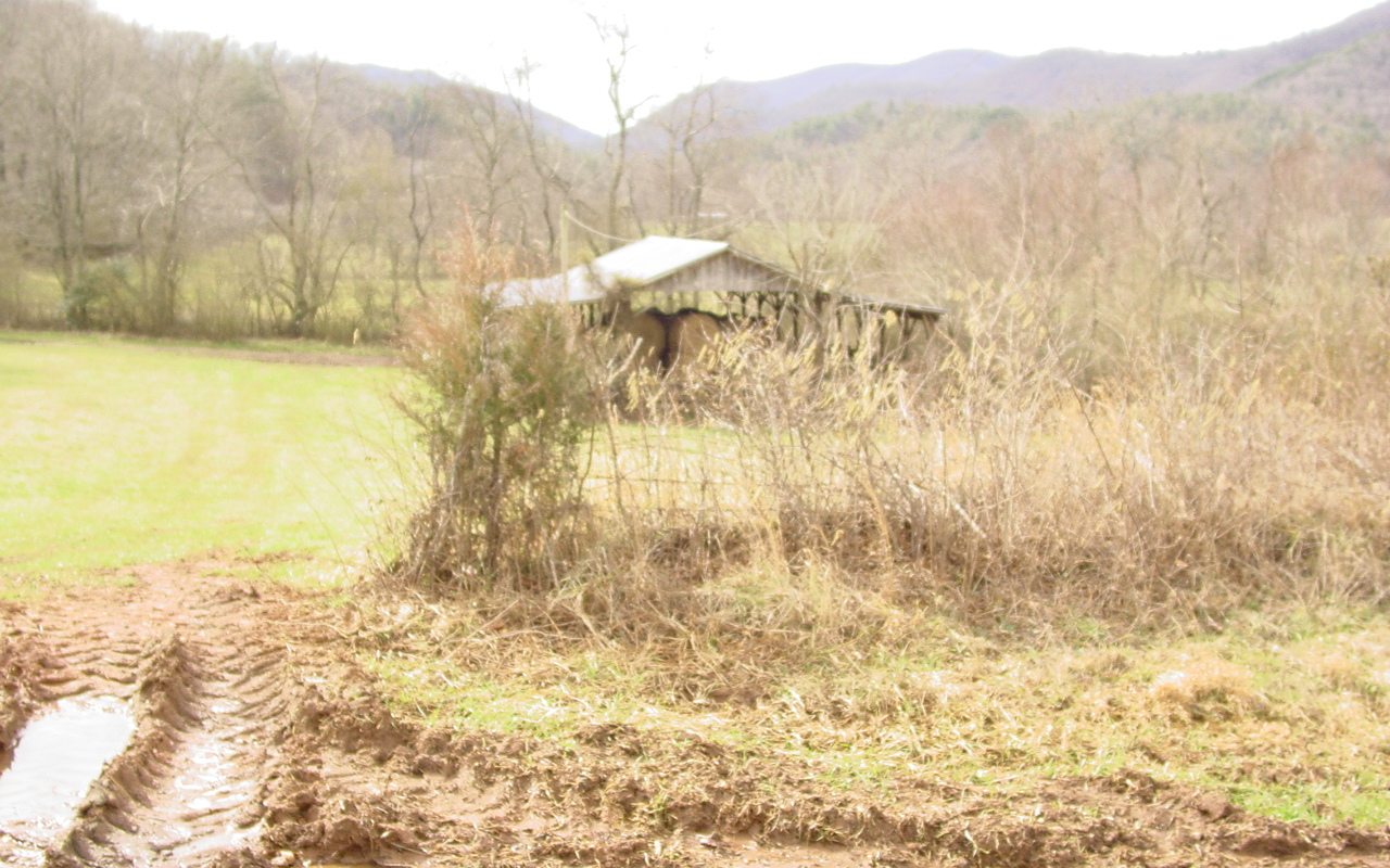 Owl Creek Road