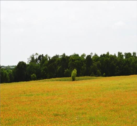 01 Fm 548