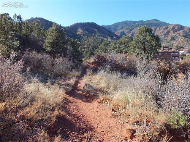 Puma Path