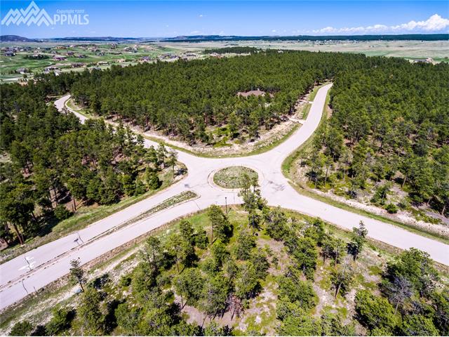 19325 Hilltop Pines Path