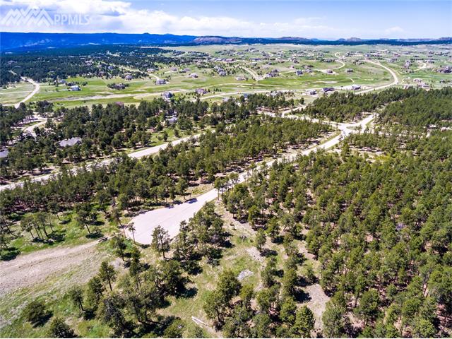 19085 Hilltop Pines Path