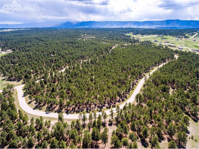 19085 Hilltop Pines Path