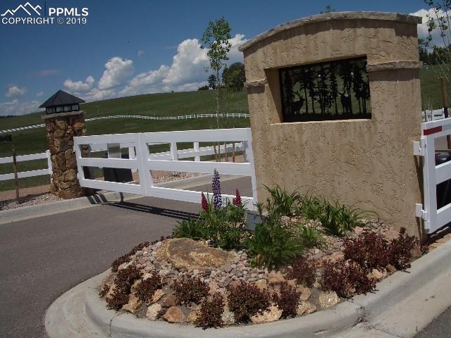 309 Pinaceae Heights