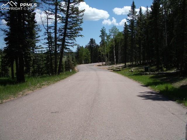 309 Pinaceae Heights