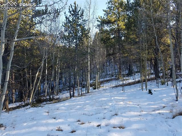 741 Timber Ridge Road