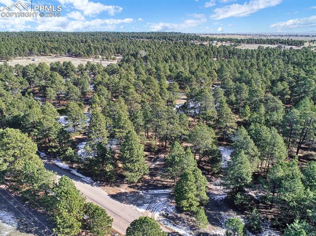 11005 Raygor Road