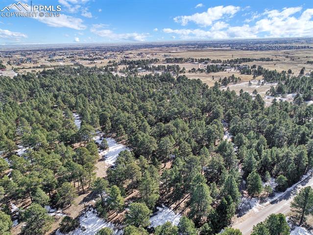 11005 Raygor Road