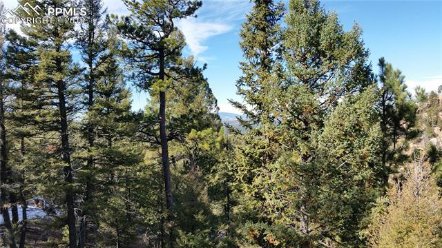 3546 N Mountain Estates Road