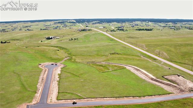 16587 Ridgeback Road