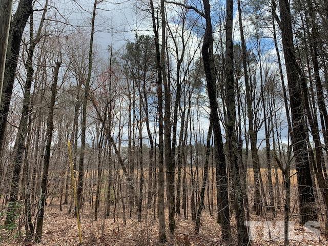 12125 Holly Springs New Hill Road